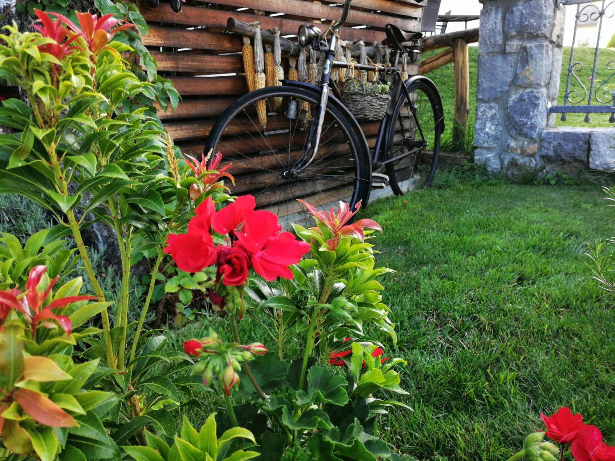 Barn House Mm Apartment Bled Luaran gambar