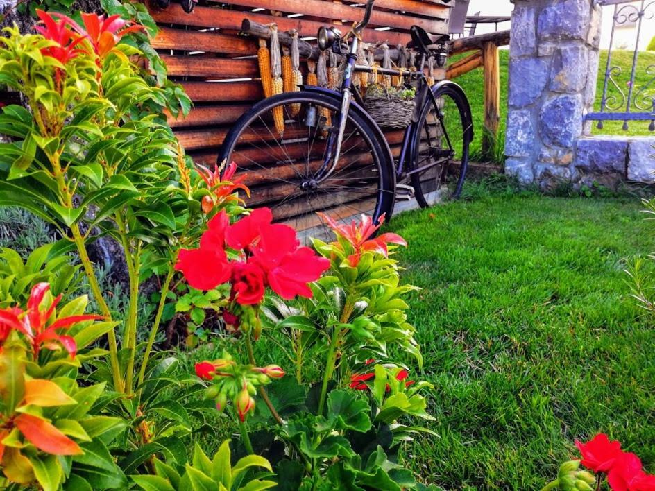 Barn House Mm Apartment Bled Luaran gambar
